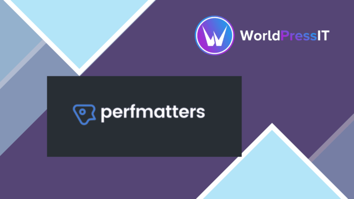Perfmatters screenshot