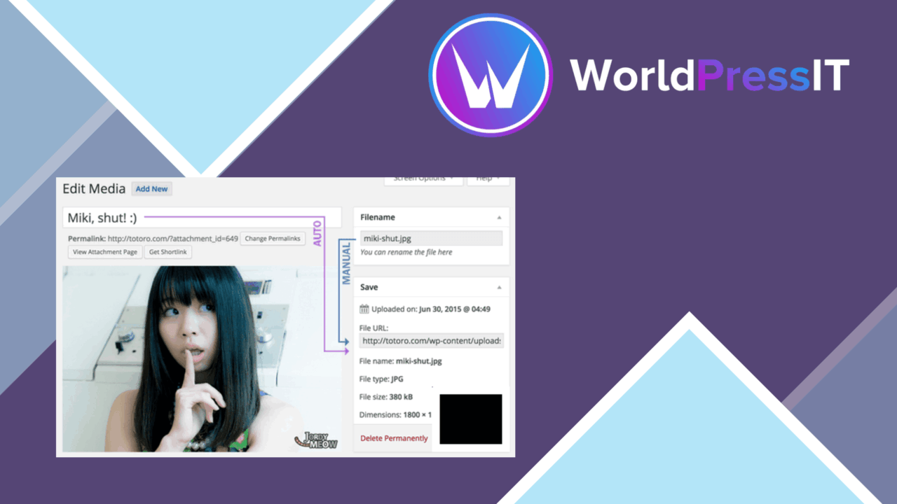 Media File Renamer Pro screenshot
