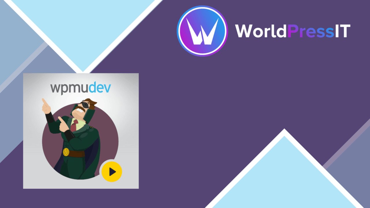 WPMU DEV Hustle screenshot