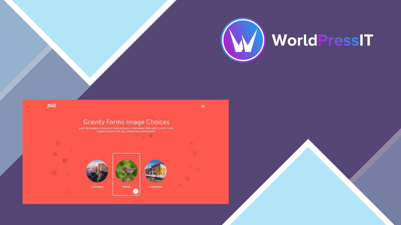 Gravity Forms Image Choices screenshot